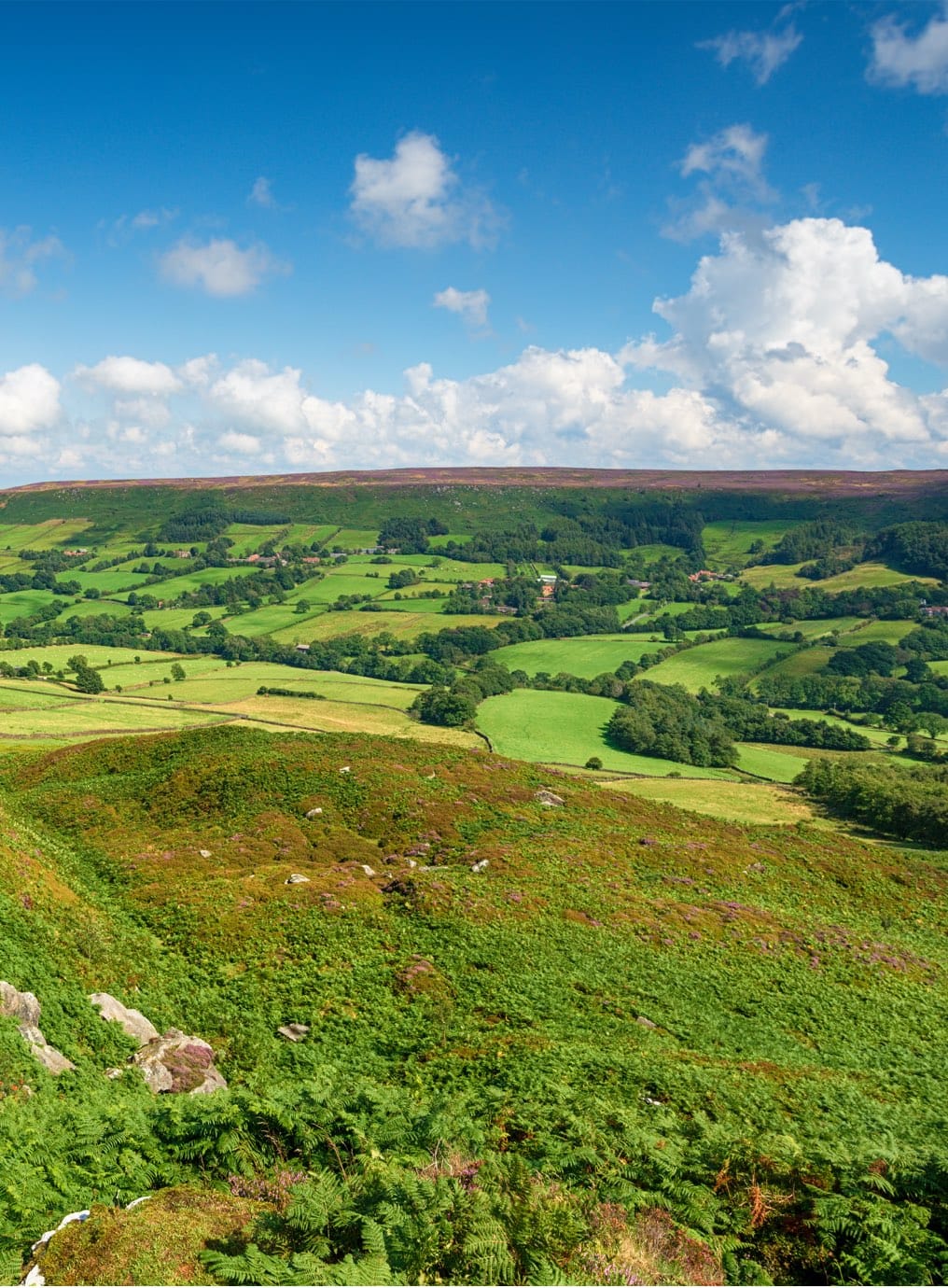 The North York Moors